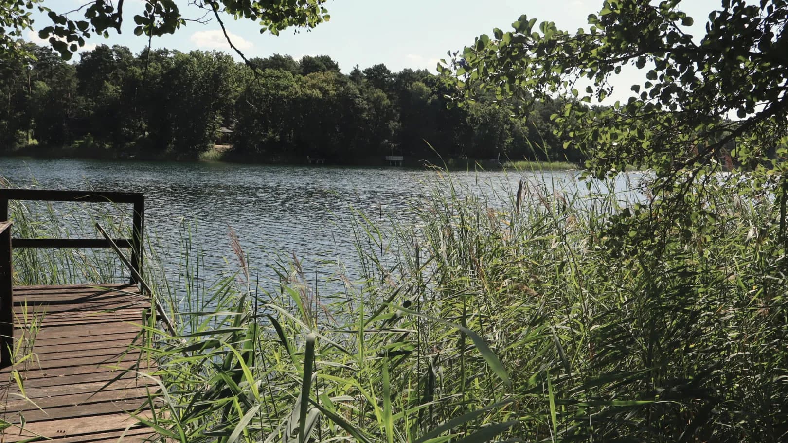 Blick vom Ufer über den Stolzenhagener See auf den bewaldeten Gegenhang